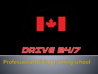 Professional driving training school