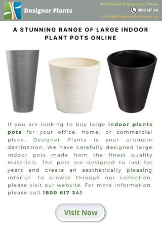 A stunning range of large indoor plant pots online