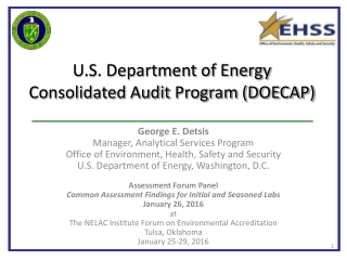 U.S. Department of Energy Consolidated Audit Program (DOECAP)