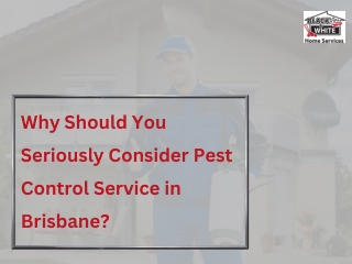 Why Should You Seriously Consider Pest Control in Brisbane