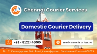 Best Domestic Delivery Service in Chennai