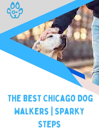 The Best Chicago Dog Walkers  Sparky Steps