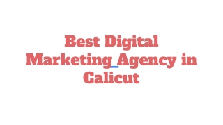Best Digital Marketing Agency in Calicut (1)