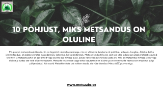 10 põhjust, miks metsandus on oluline