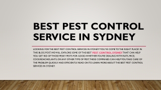 Best Pest Control Service in Sydney