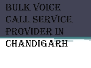Bulk Voice Call Service Provider in Chandigarh