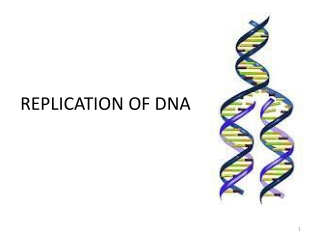 REPLICATION OF DNA