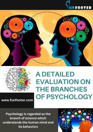 The Branches of Psychology: A Detailed Evaluation