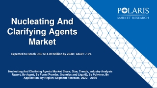 Nucleating And Clarifying Agents Market