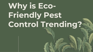 Why is Eco-Friendly Pest Control Trending