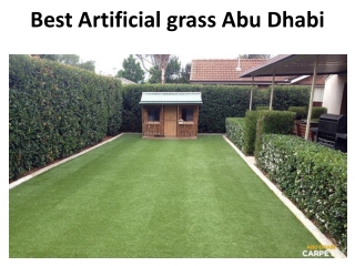 Best Artificial grass Abu Dhabi