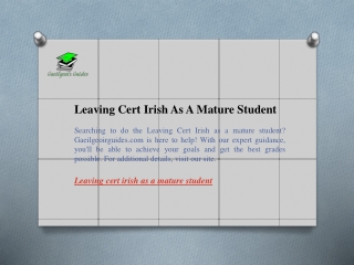 Leaving Cert Irish As A Mature Student  Gaeilgeoirguides.com