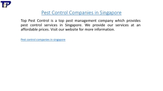 Pest Control Companies in Singapore