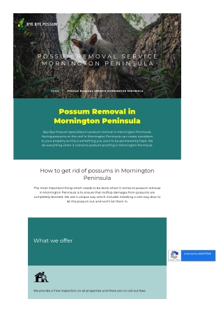 Possum Removal Service Mornington Peninsula