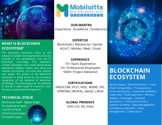 Blockhain Ecosystem Development