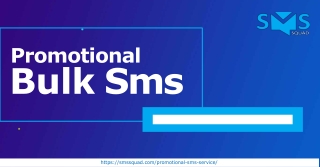 Apply Promotional Bulk SMS At Your Marketing Campaign - SMS Squad