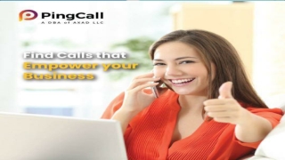 Ping Call And Its Niche Lead Generation Services