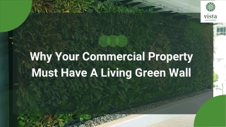 Why Your Commercial Property Must Have A Living Green Wall