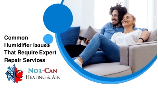 Common Humidifier Issues That Require Expert Repair Services