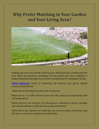 Why prefer mulching in your garden and your living area