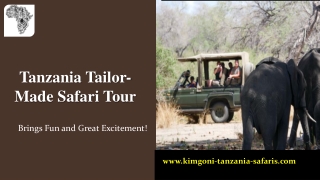 Tanzania Tailor-Made Safari Tour