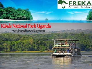 Kibale National Park Uganda