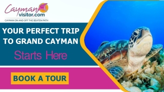 Cayman Visitor I Grand Cayman Tours Excursions  Things To Do