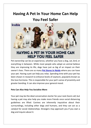 Having A Pet In Your Home Can Help You Feel Safer