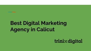 Best Digital Marketing Agency in Calicut