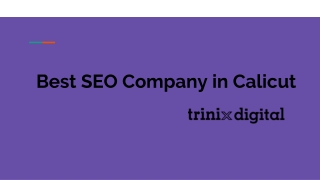 Best SEO Company in Calicut