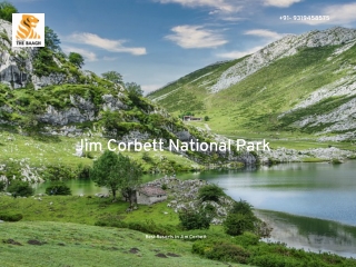 Best resorts in jim corbett