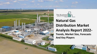   Natural Gas Distribution Market Analysis Report 2022 - Trends, Market Size, Fo