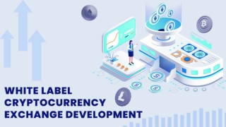 White Label Crypto Exchange Development - Coin Developer India