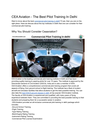 CEA Aviation - The Best Pilot Training In Delhi