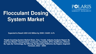 Flocculant Dosing System Market