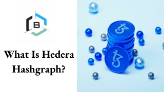 What Is Hedera Hashgraph?