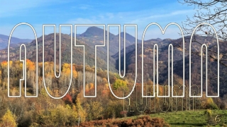 Autumn moods6