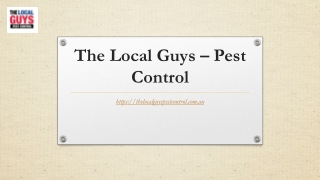 Adelaide Termite Treatment | Thelocalguyspestcontrol.com.au