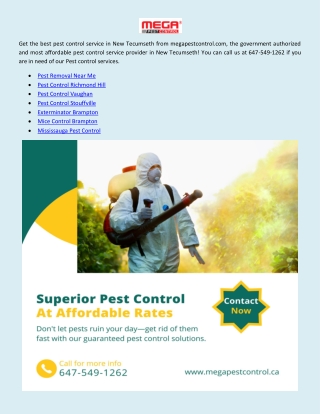 Pest Control Stouffville