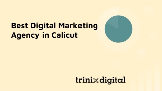 Best Digital Marketing Agency in Calicut