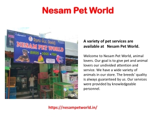 Petshop In Thanjavur And Mannarkudi | Aquarium In Thanjavur And Mannarkudi | Aqu