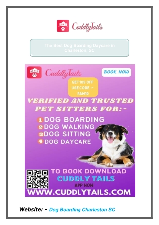 The Best Dog Boarding Daycare in Charleston, SC