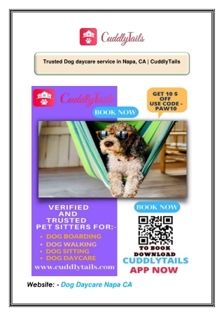 Trusted Dog daycare service in Napa, CA | CuddlyTails