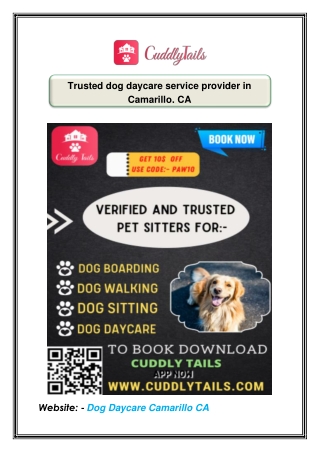 Trusted dog daycare service provider in Camarillo, CA