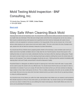 Mold Testing Mold Inspection - BNF Consulting, Inc (2)