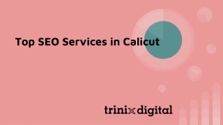 Top SEO Services in Calicut