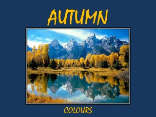 Barvy podzimu - Autumn Colours (John)