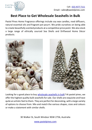 Best Place to Get Wholesale Seashells in Bulk