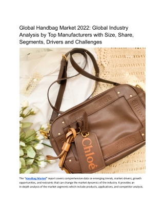 Global Handbag Market 2022: Global Industry Analysis by Top Manufacturers