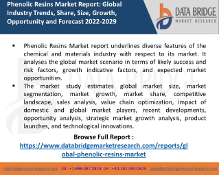 Phenolic Resins Market